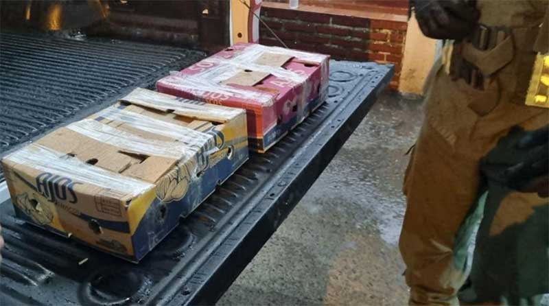 Descoberta inusitada em operação em Formosa, na Argentina: cinco macacos foram encontrados debaixo do banco de um caminhão