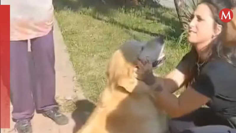 Mulher pede que seu cachorro seja abatido em açougue; animal é resgatado na Argentina