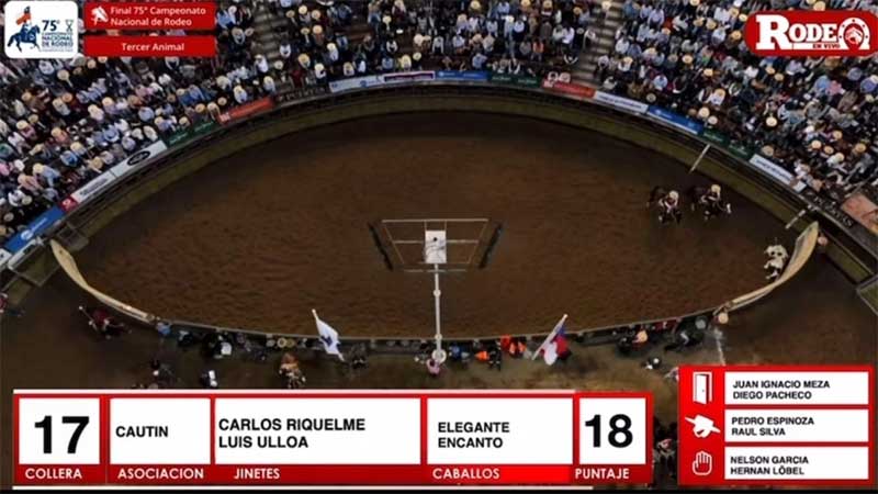 Novilho fica atordoado em campeonato de rodeio no Chile