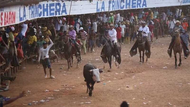 Incidente com ‘touro descontrolado’ em festival na Colômbia deixa um morto e 29 feridos