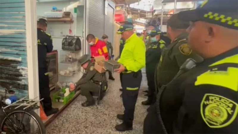 Operação policial resgata 95 animais em mercado na Colômbia onde é proibida a comercialização