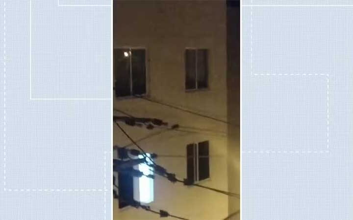 VÍDEO: cachorrinha pula do 3º andar de prédio em Planaltina, no DF