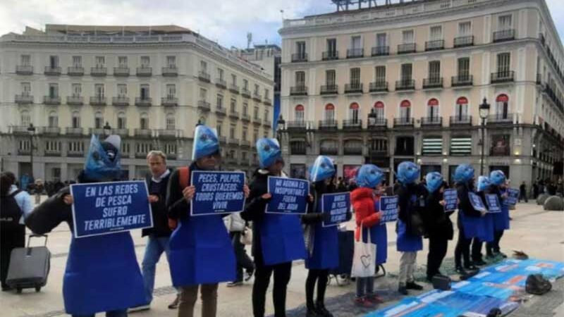 Madrid faz manifestação pelos direitos dos animais aquáticos