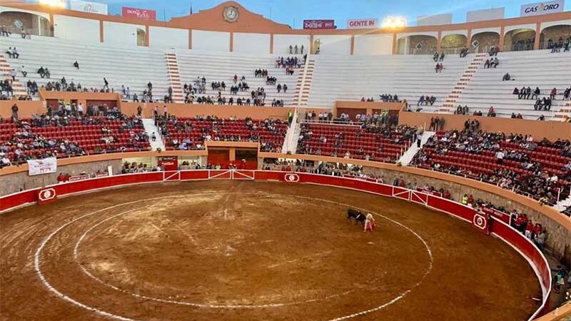 Tourada cancelada em cidade espanhola; ativistas anti-touradas celebram