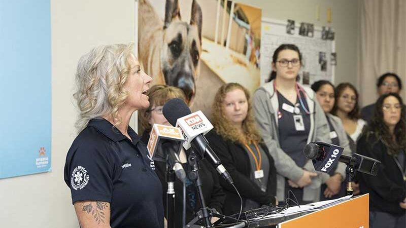 Legislativo do Arizona, EUA, considera leis mais rígidas contra crueldade contra animais após aumento de casos