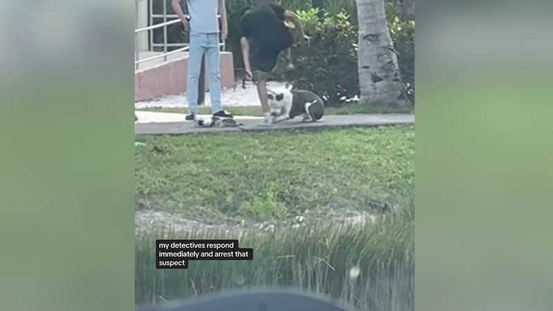 EUA: homem da Flórida flagrado em vídeo tirando seus sapatos e pisando em seu filhote de pit bull