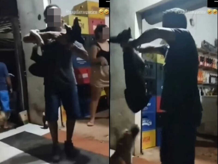 Homem é denunciado por enforcar cão enquanto dançava, em Coroatá, MA