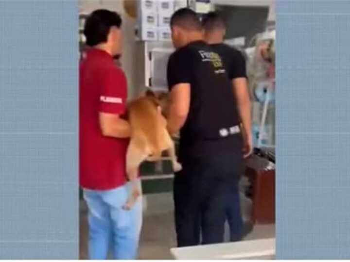 VÍDEO: cachorro tem testículos cortados e é amarrado em poste em Santa Luzia, MA