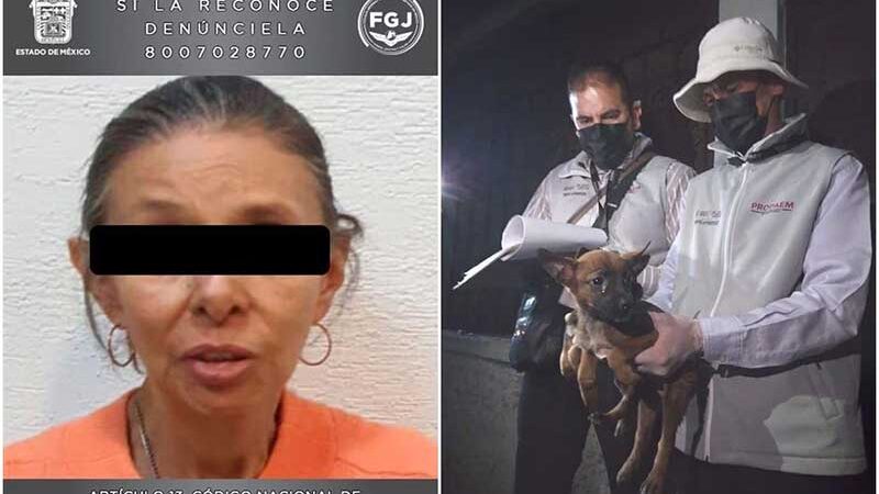 Presa por abuso de animais, mulher tinha 27 cães em condições deploráveis no México