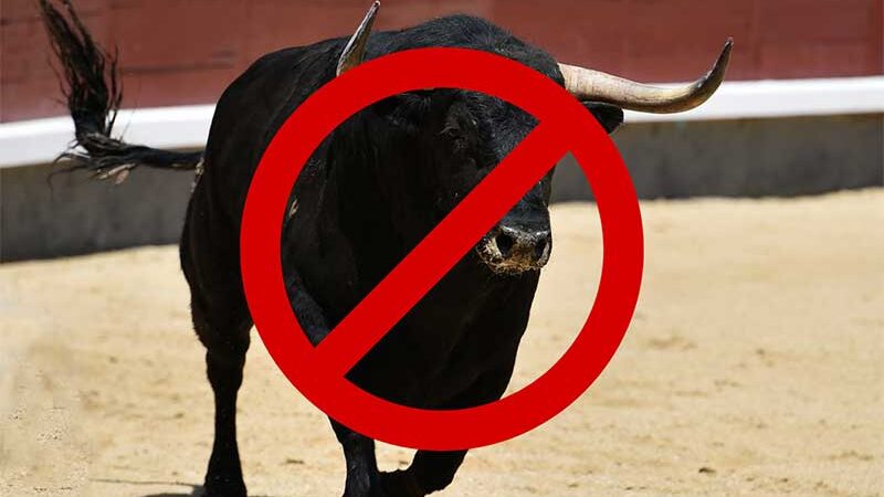 Touradas são canceladas na feira Puebla 2024 no México: resposta à defesa dos animais