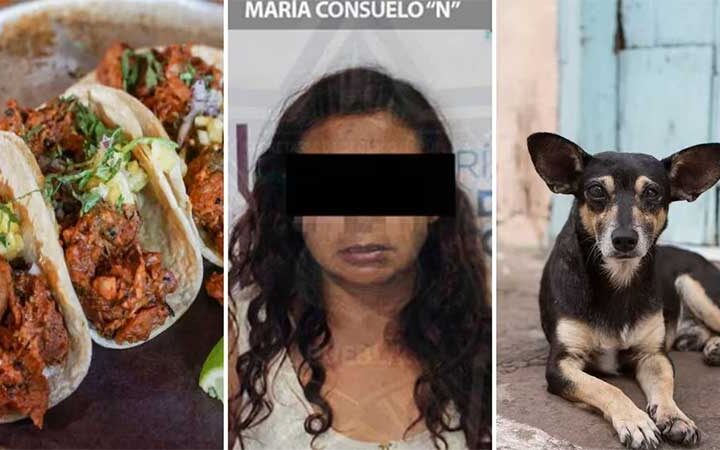Mulher é presa por vender tacos com carne de cachorro no México