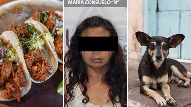Mulher é presa por vender tacos com carne de cachorro no México