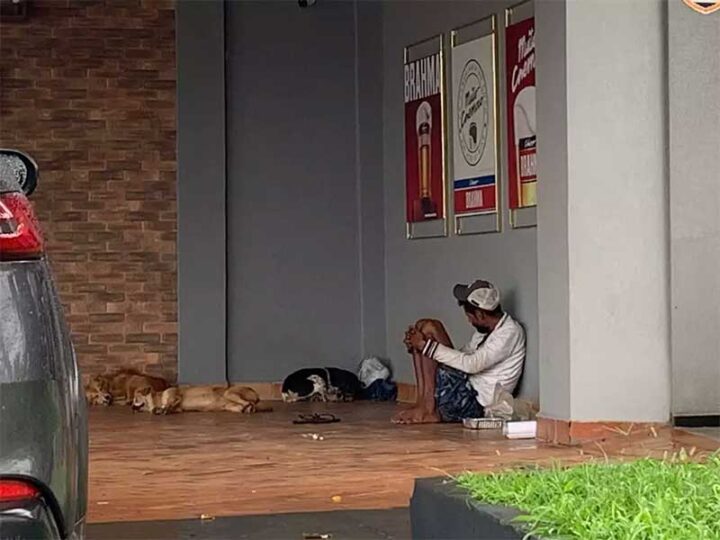 Vira-latas são abandonadas e morador de rua adota animais que “ninguém quis”