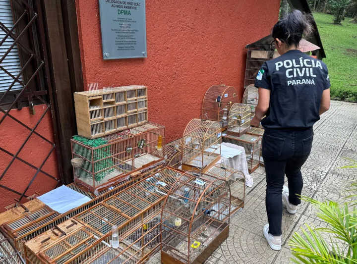 Polícia Civil orienta sobre como denunciar maus-tratos a animais no Paraná