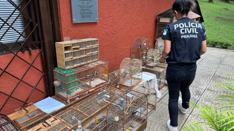 Polícia Civil orienta sobre como denunciar maus-tratos a animais no Paraná