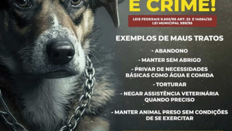 Prefeitura de Paraty (RJ) cria canal para denúncias de maus-tratos contra animais domésticos