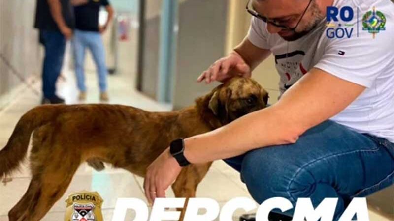 Polícia Civil de Rondônia resgata cachorro em situação de maus-tratos em Porto Velho