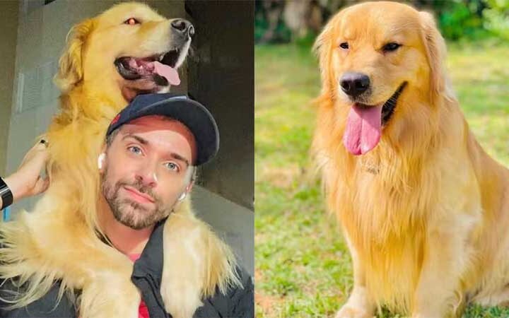 VÍDEO: Cachorro morre após falha no transporte aéreo da Gol em Guarulhos; pet foi levado para Ceará em vez de Mato Grosso