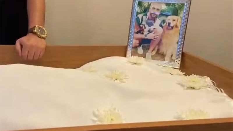 Cão Joca é sepultado nesta quarta, em SP; pet morreu após erro no transporte aéreo