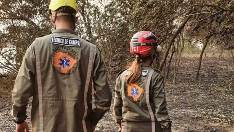 O rastro de destruição no Pantanal: jacaré carbonizado, carcaças